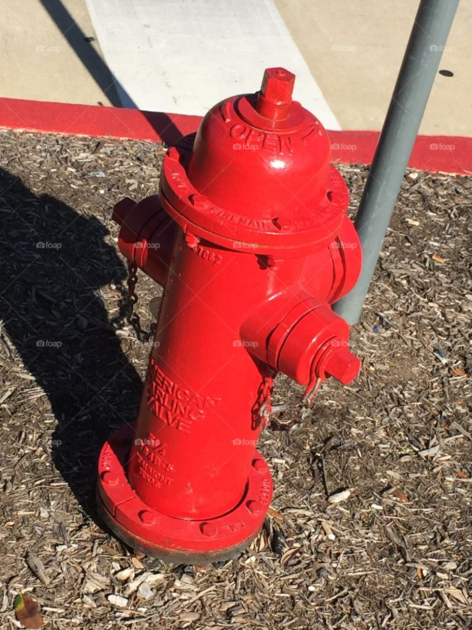 Vibrant fire hydrant in the sunlight.