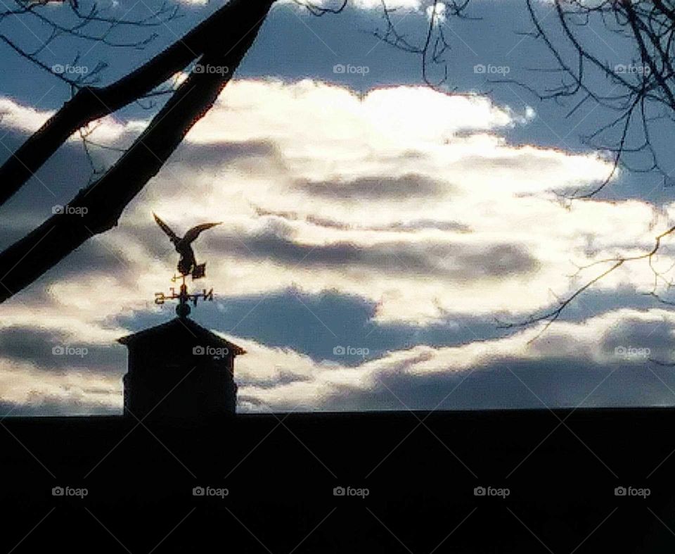weathervane