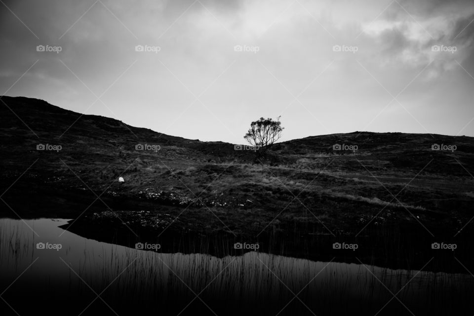 Monochrome, Landscape, No Person, Sunset, Water