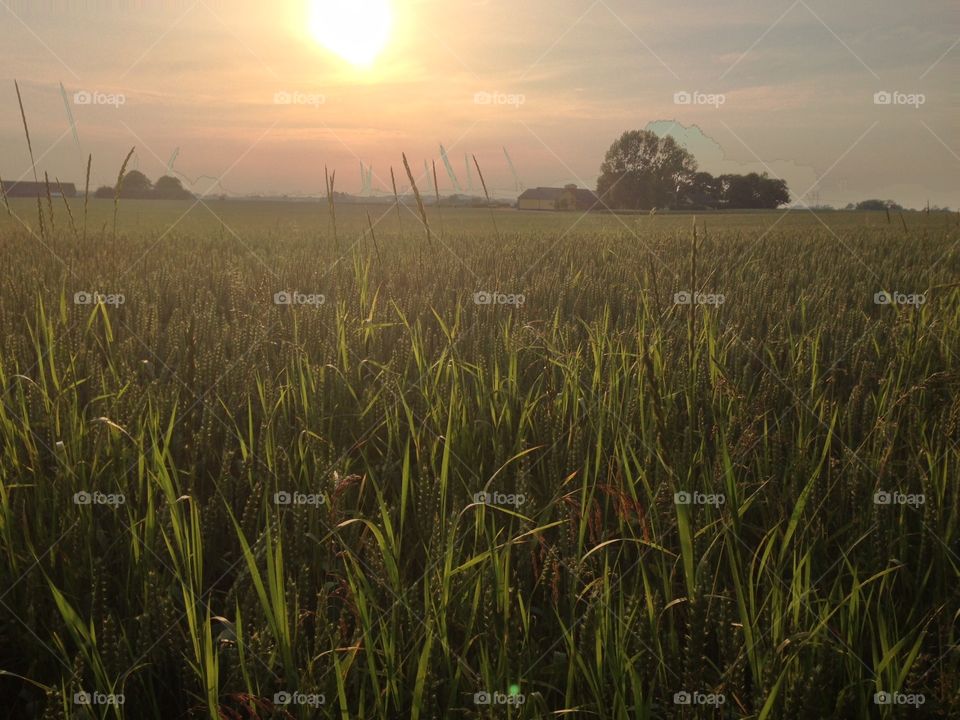 Sunset in the countryside 