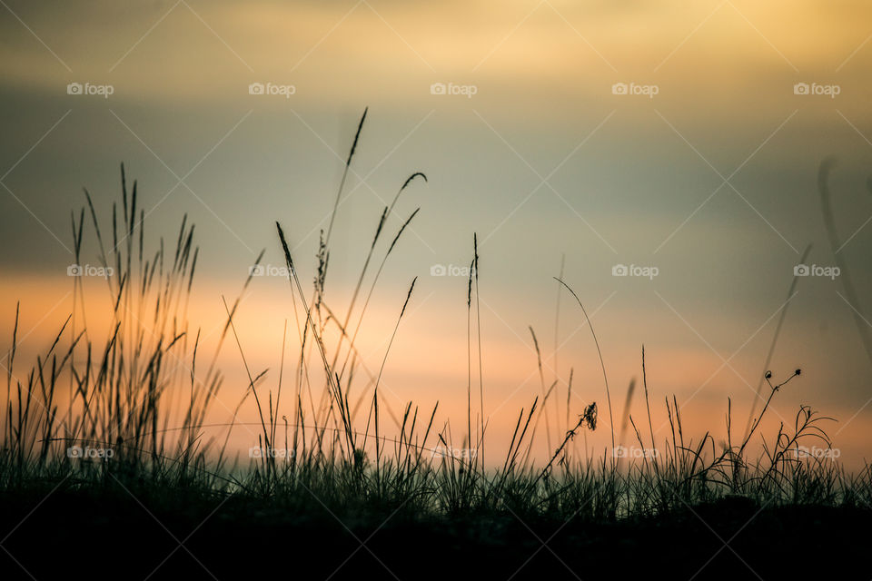 Sunset, Sun, Dawn, Beach, Sky