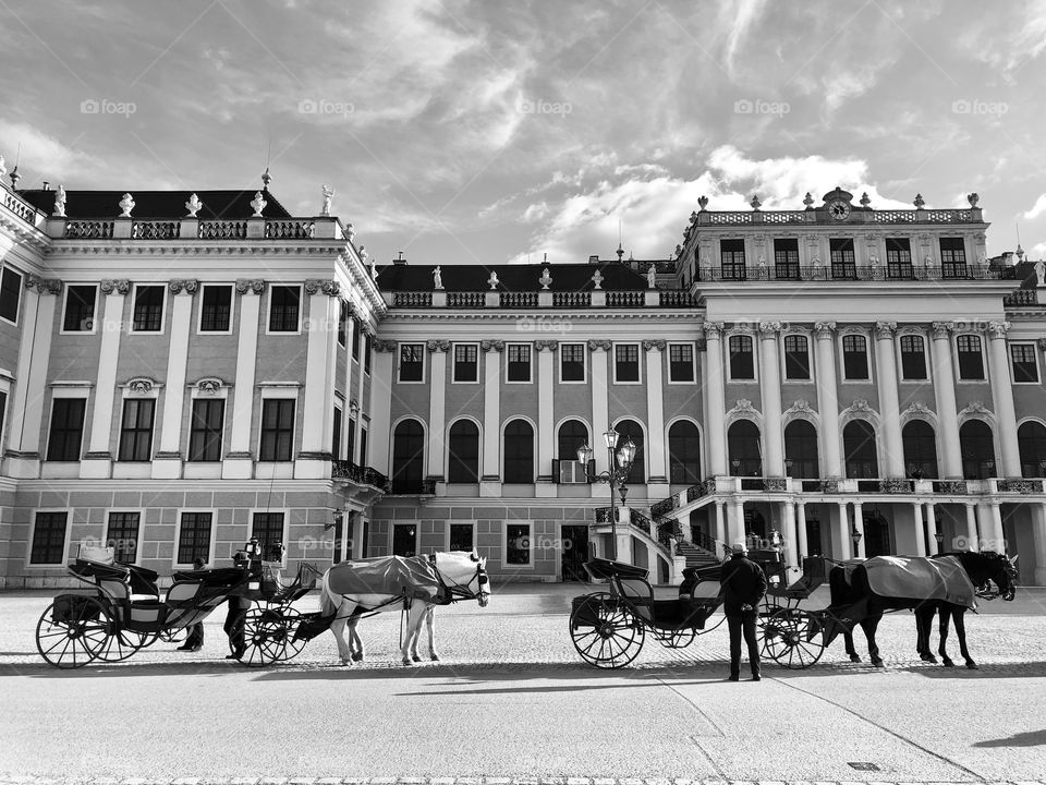 Schonbrunn Palace in Vienna