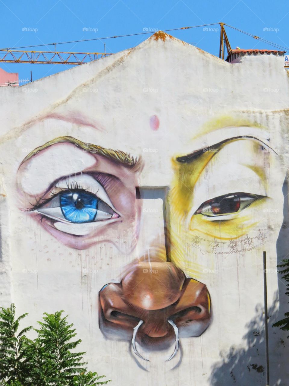 The house is watching you