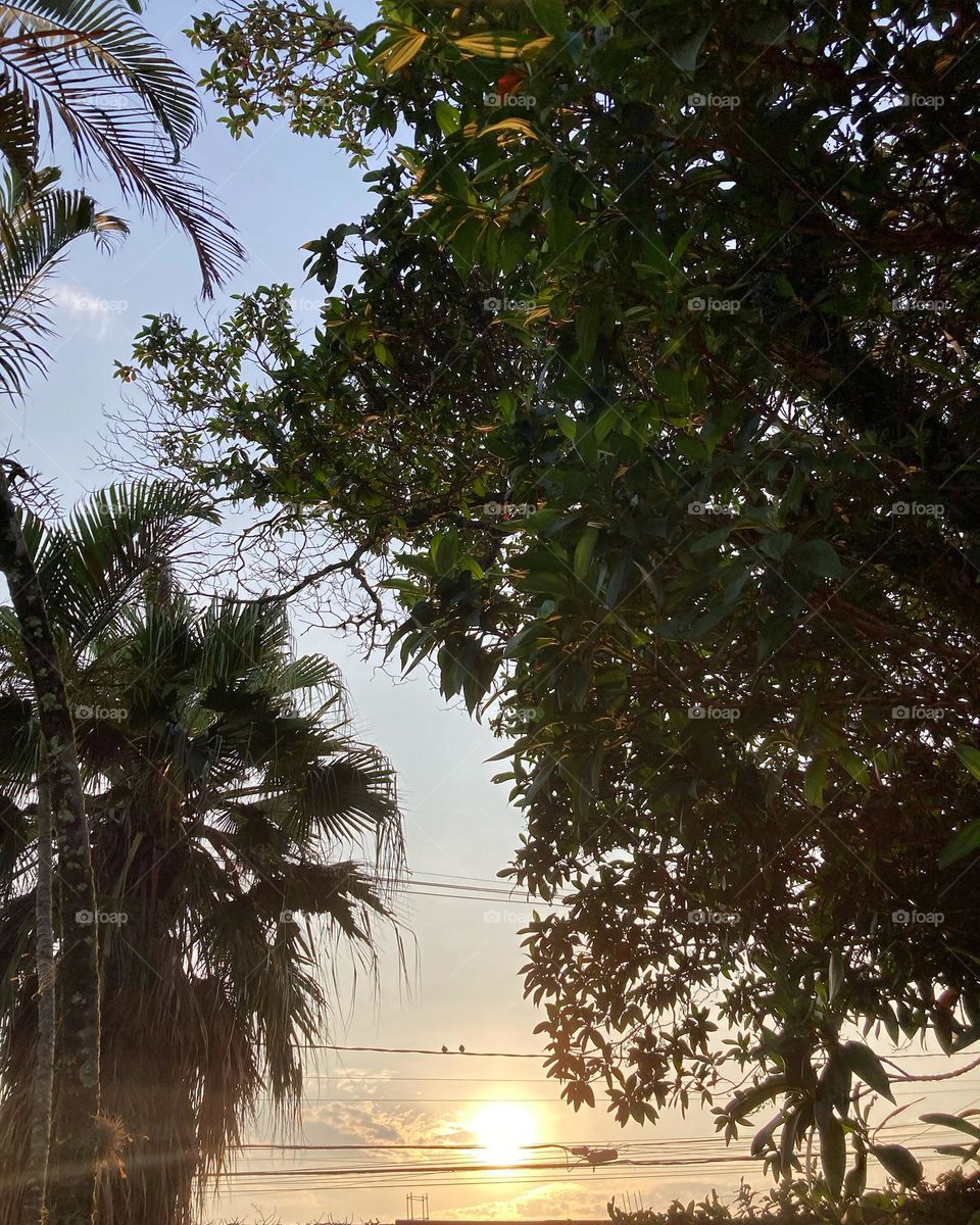 🌄🇺🇸 An extremely beautiful dawn in Jundiaí, interior of Brazil. Cheer the nature! / 🇧🇷 Um amanhecer extremamente bonito em Jundiaí, interior do Brasil. Viva a natureza! 