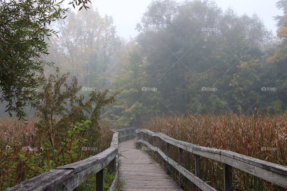 Boardwalk on a misty morning
