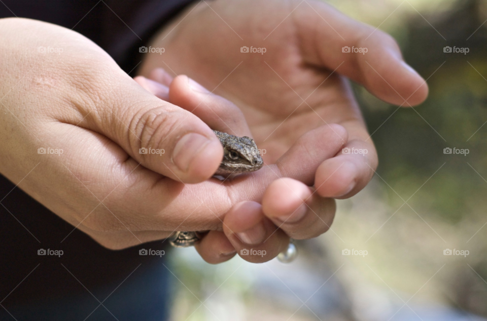 nature close hands pet by stephenkirsh
