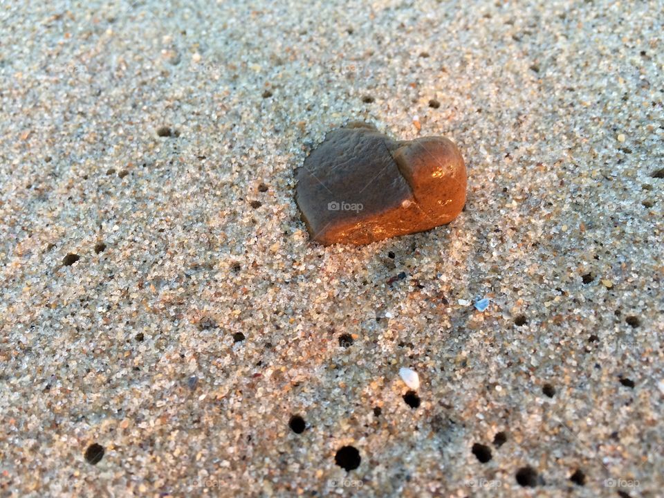 Beach with shells and stones