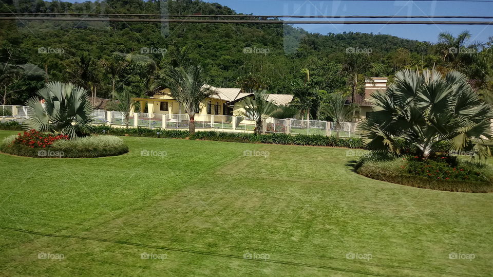 GROßE GRÜNE GARTEN