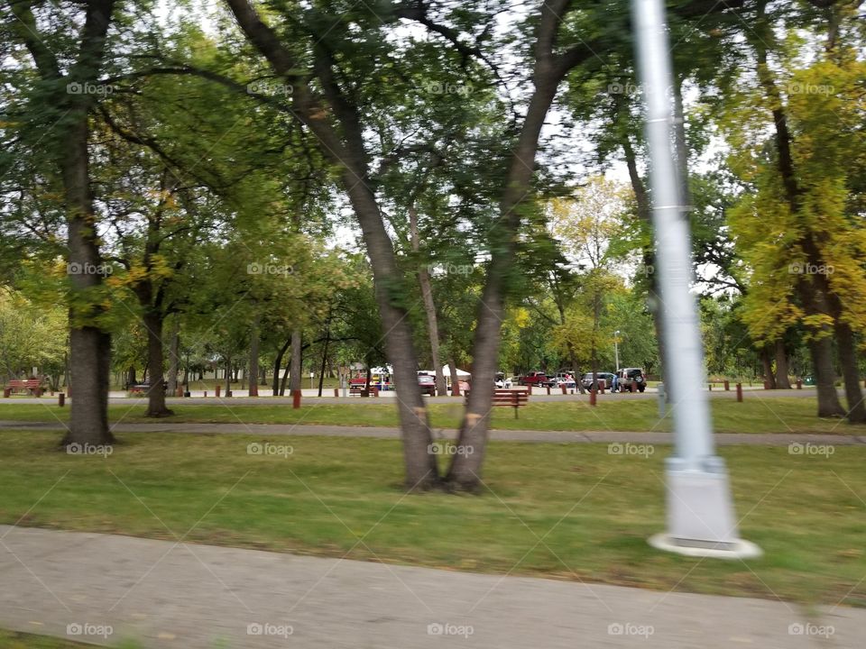 Road, Tree, Park, No Person, Guidance