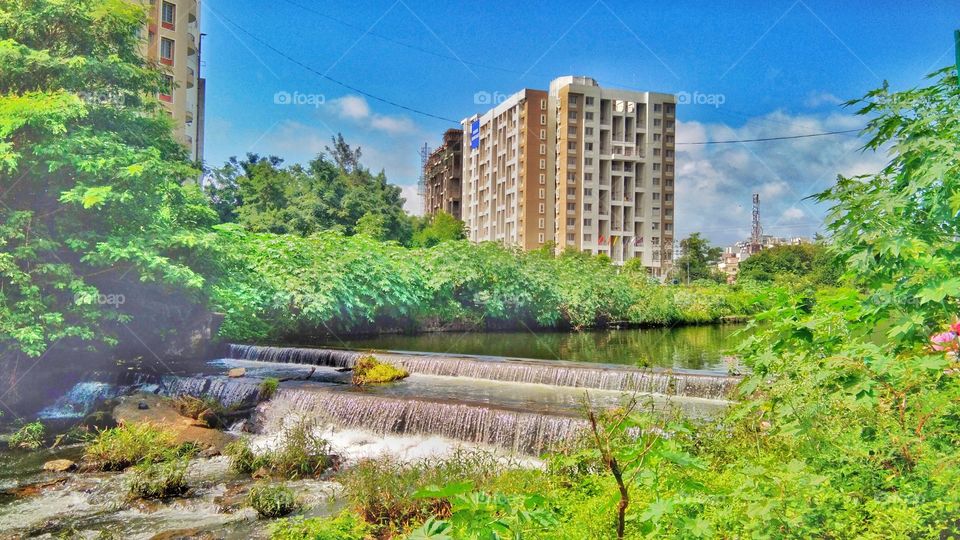 Landscape portrait, The flowing river bank surrounded by green vegetation, trees, grasses, shrubs, architecture Building and sky.
