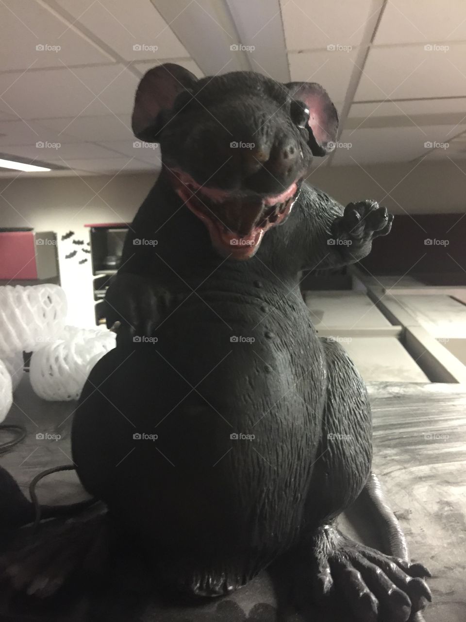 Halloween Rat king