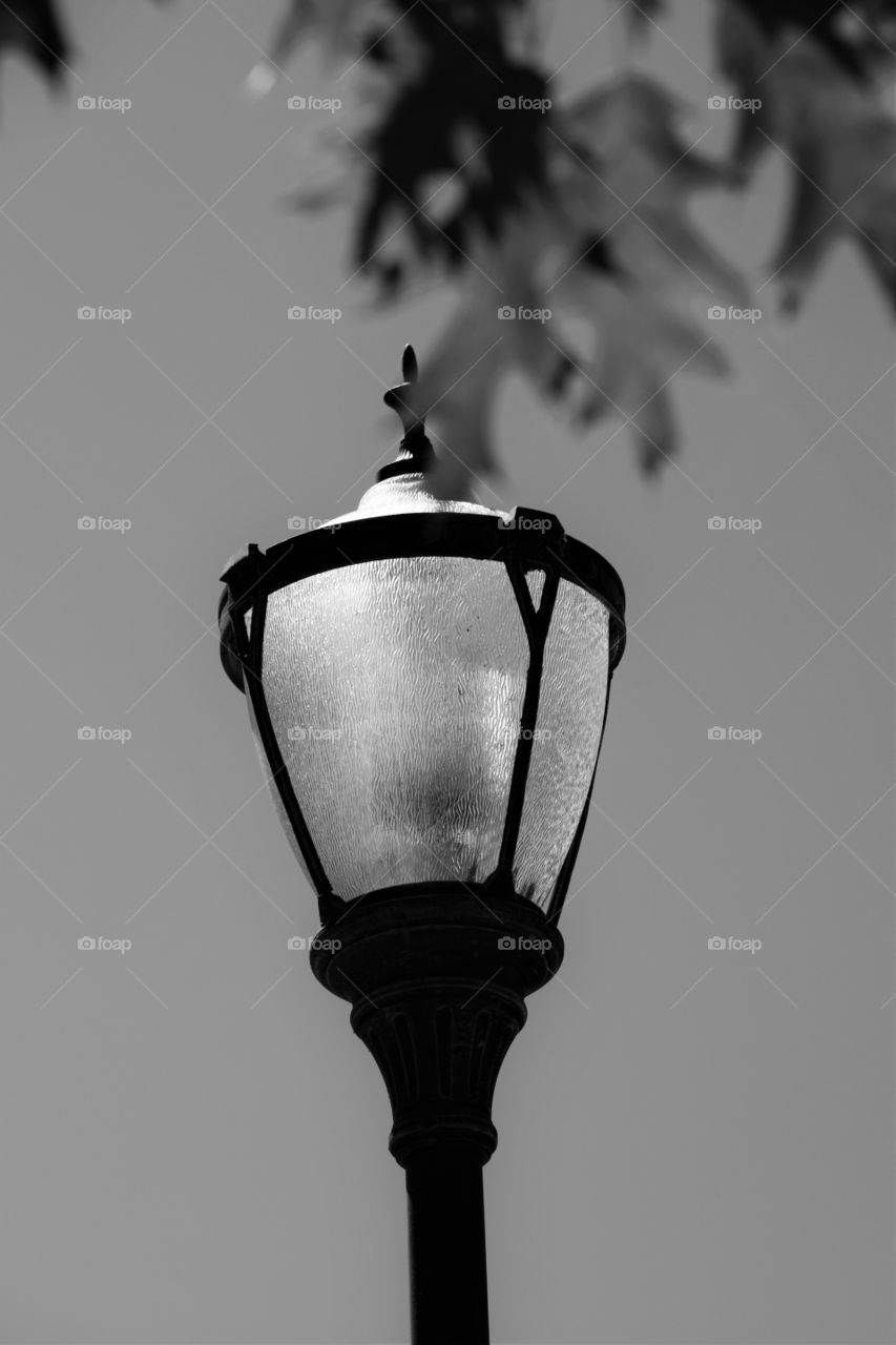 Lamp black and white