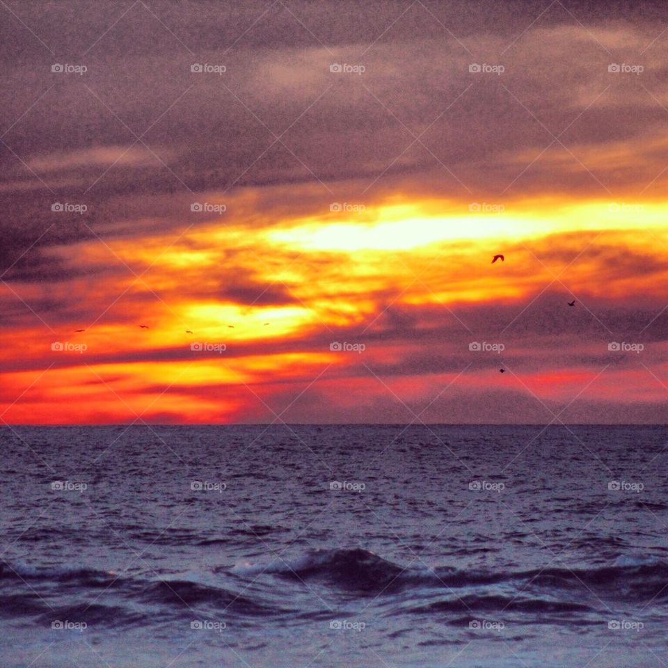 Open Sea Sunset