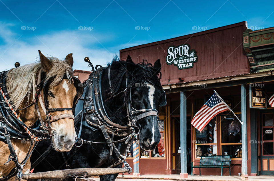 just a scene from out West