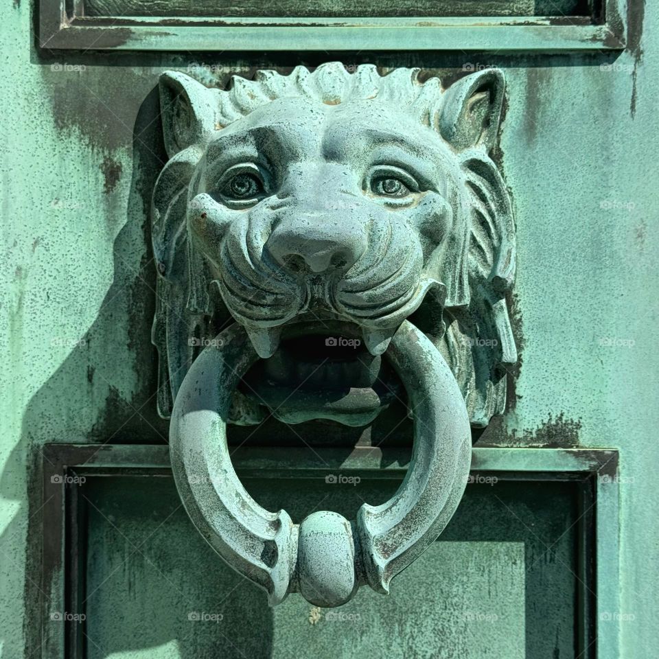 Bronze decorative door knocker with a lion’s face