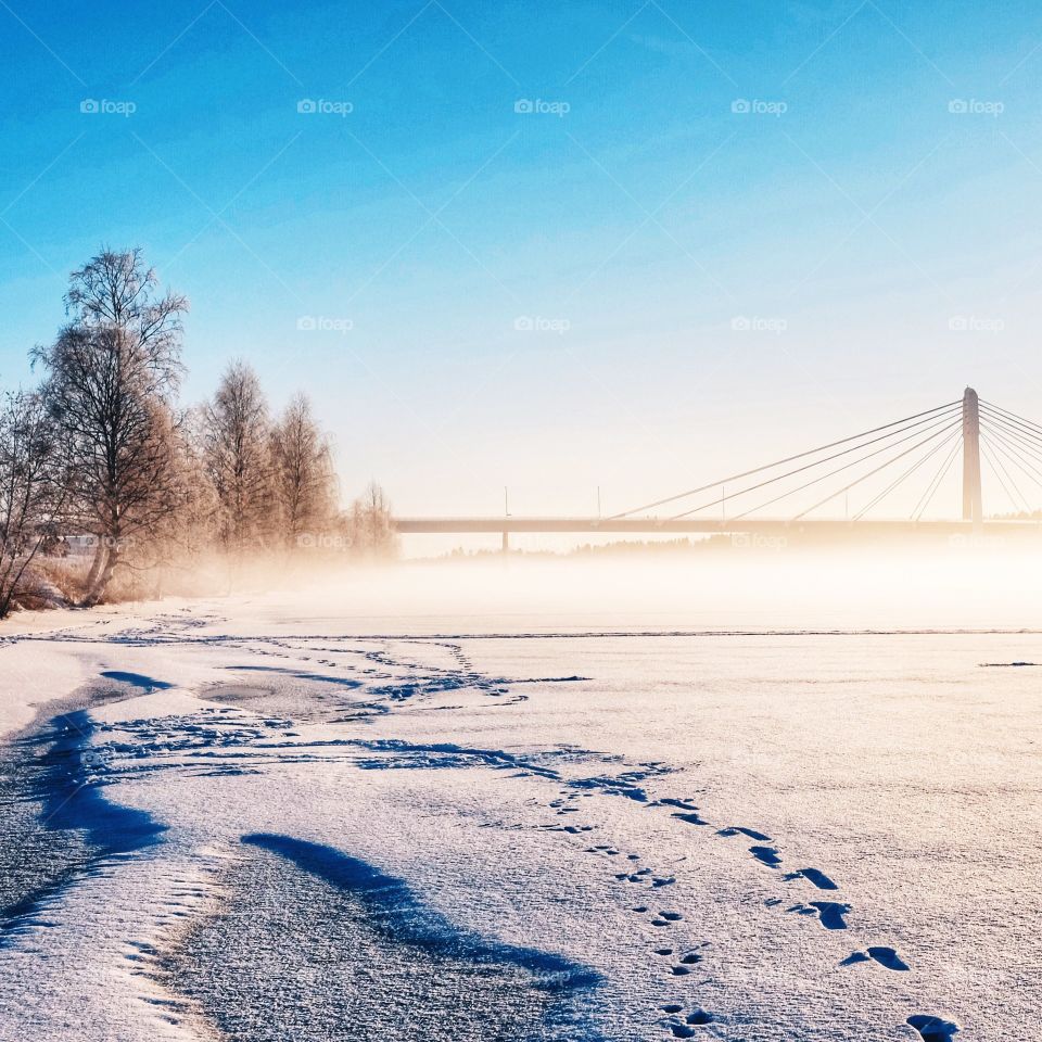 Winter, Snow, Landscape, Cold, Frozen