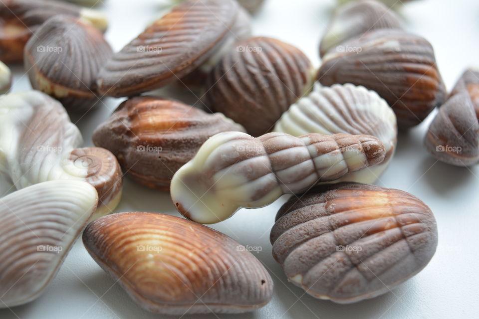 chocolate candies seashells on a white background beautiful texture