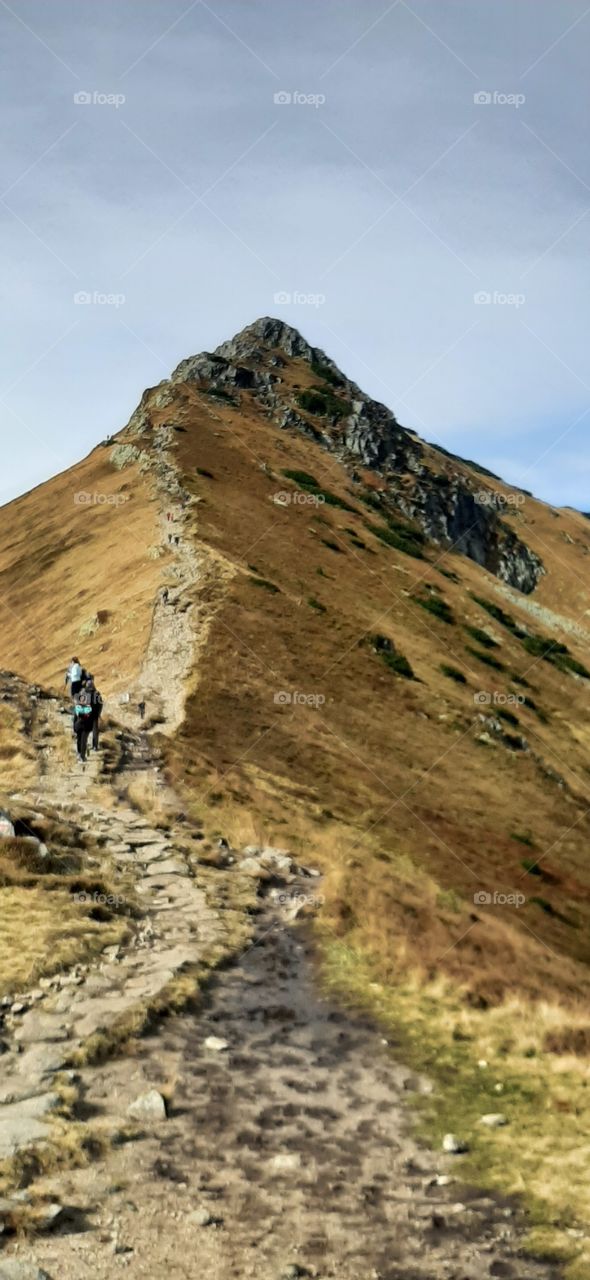 Path in the mountains