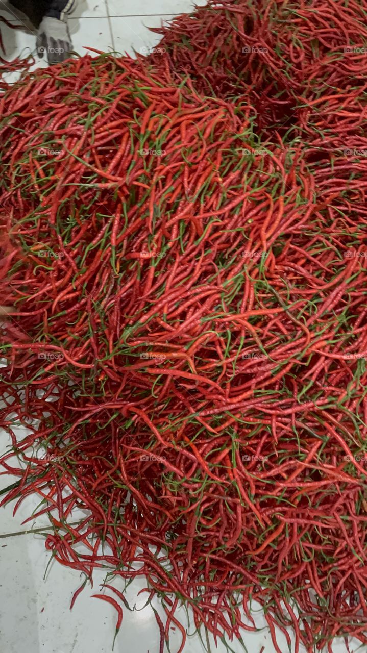 Many red hot chili