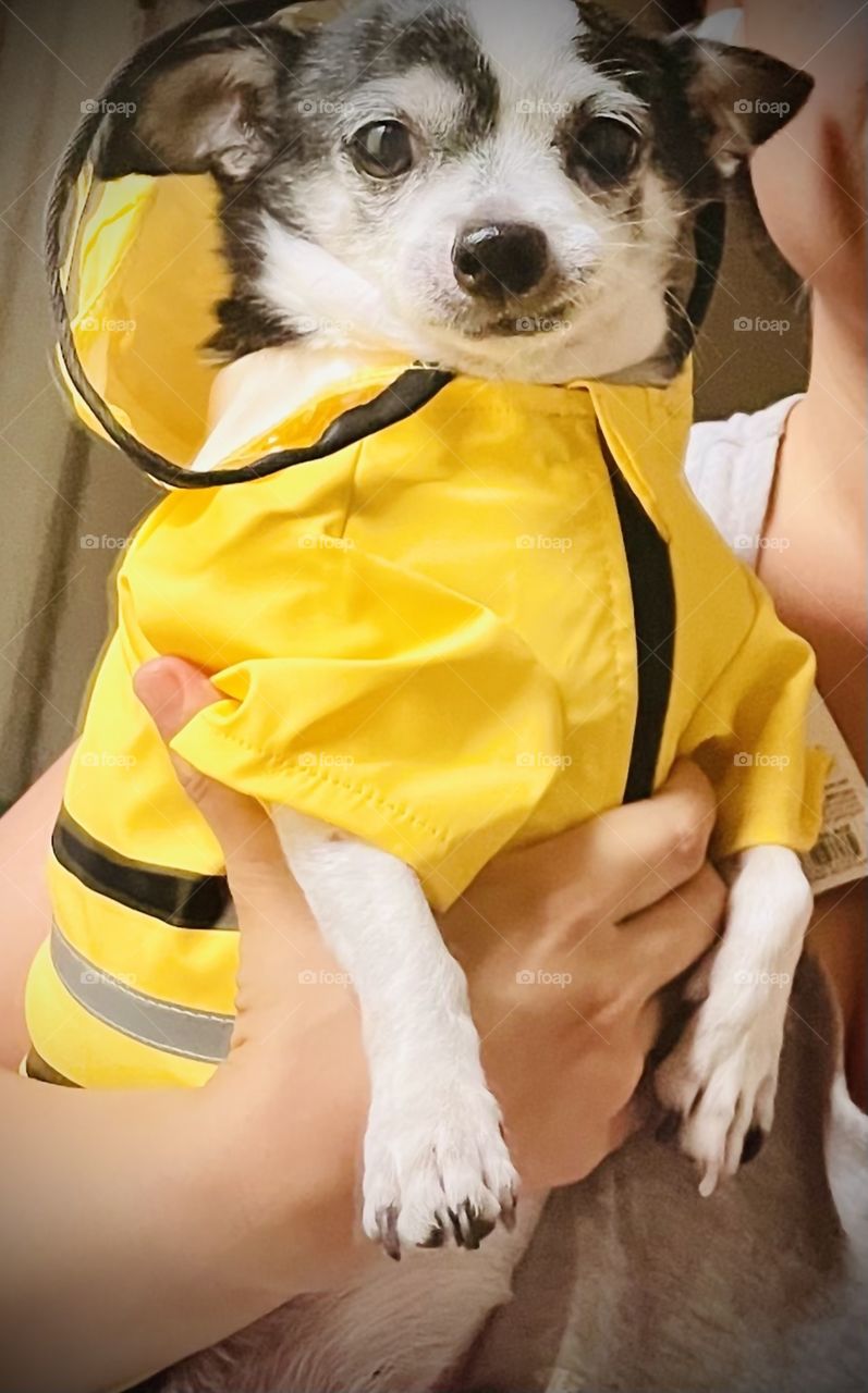Rolling in style in my new yellow raincoat 