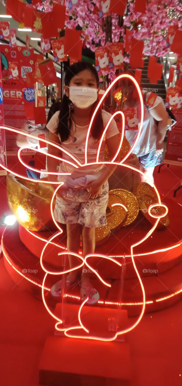 Rabbit in many areas of the world, a part of daily life—as food, clothing, a companion, and a source of artistic inspiration. And this year Chinese Horoscope is Year of the Rabbit - represents peaceful and patient energy.