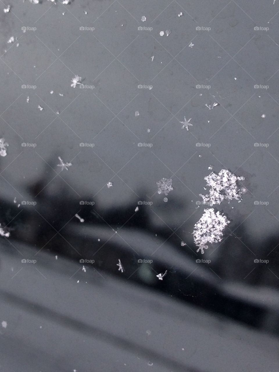 Snowflakes on the window