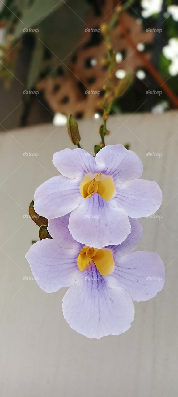 colors are the magic of nature in human life