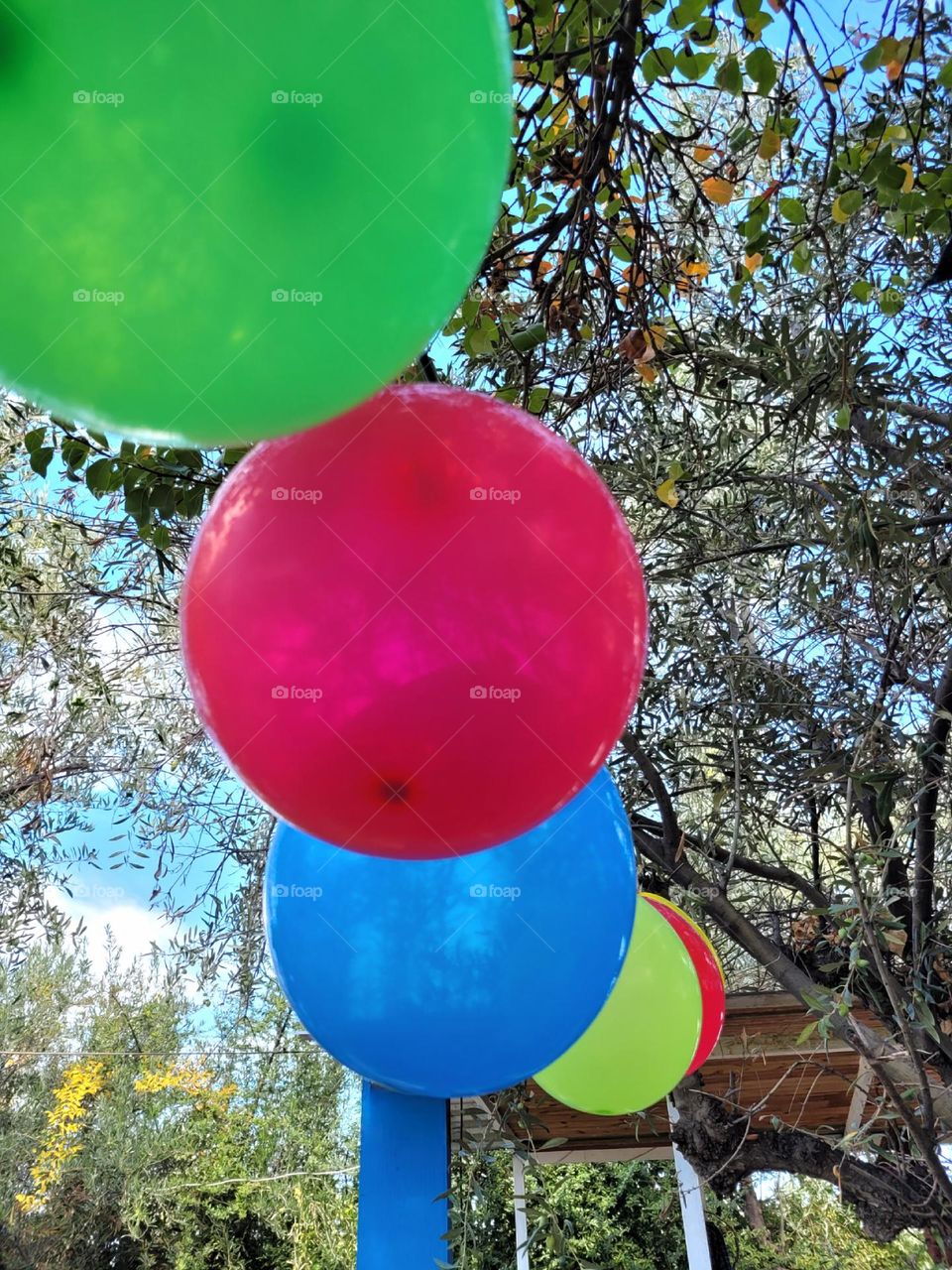 complementary colors