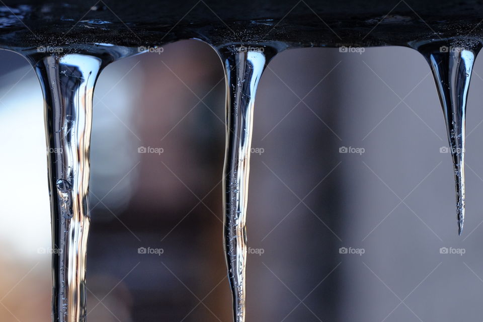 Snow turns into an Icicles. Winter season and outdoor photography 