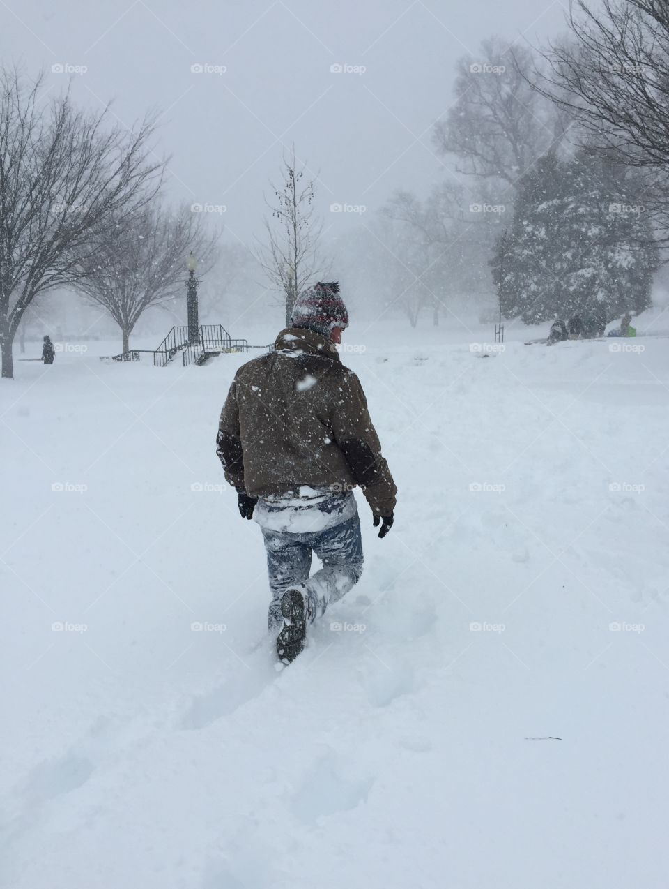 Walking in the snow - Washington, DC