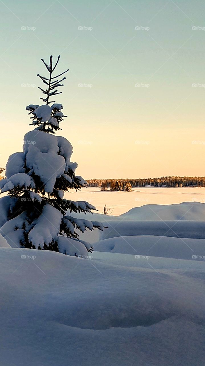 wiew from Hagaviken out over the ice