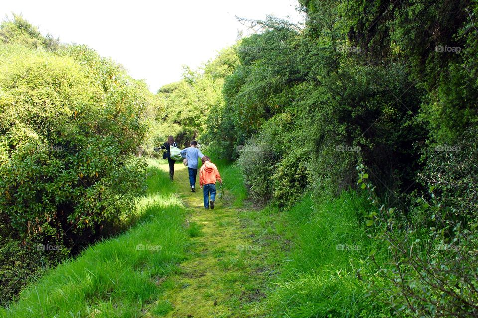 Hiking trail 