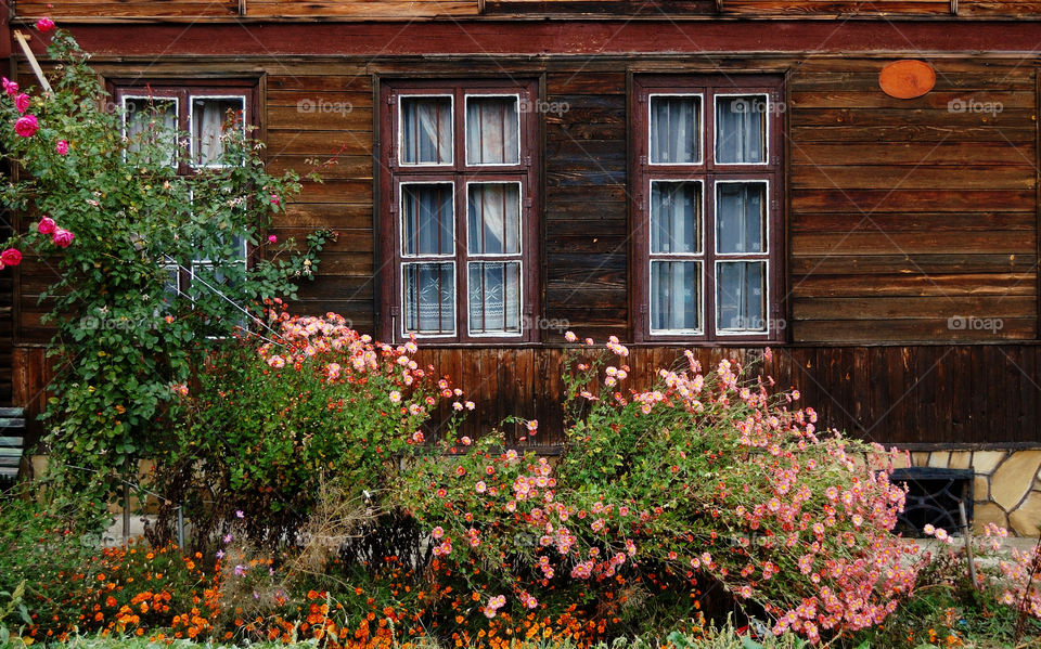 house with flowers