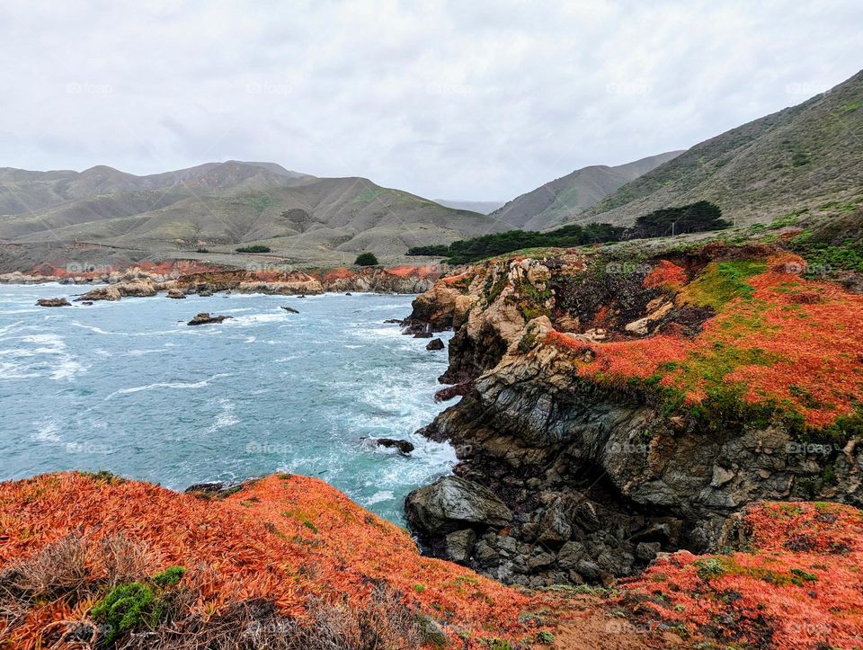 Red succulents cover the cliffs of Big Sur California