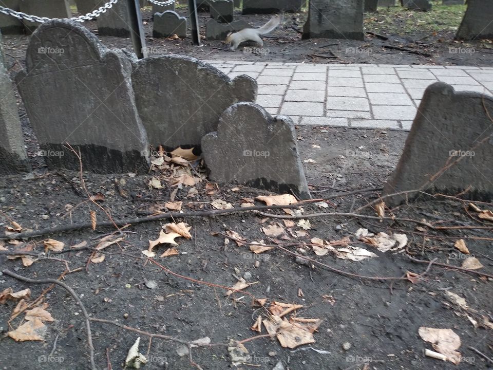 Sidewalk Along Boston Cemetery, Winter 2018 Boston, Massachusetts