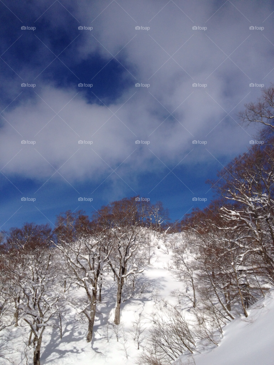 yuzawa highland sky field snow sky by sarukeiji