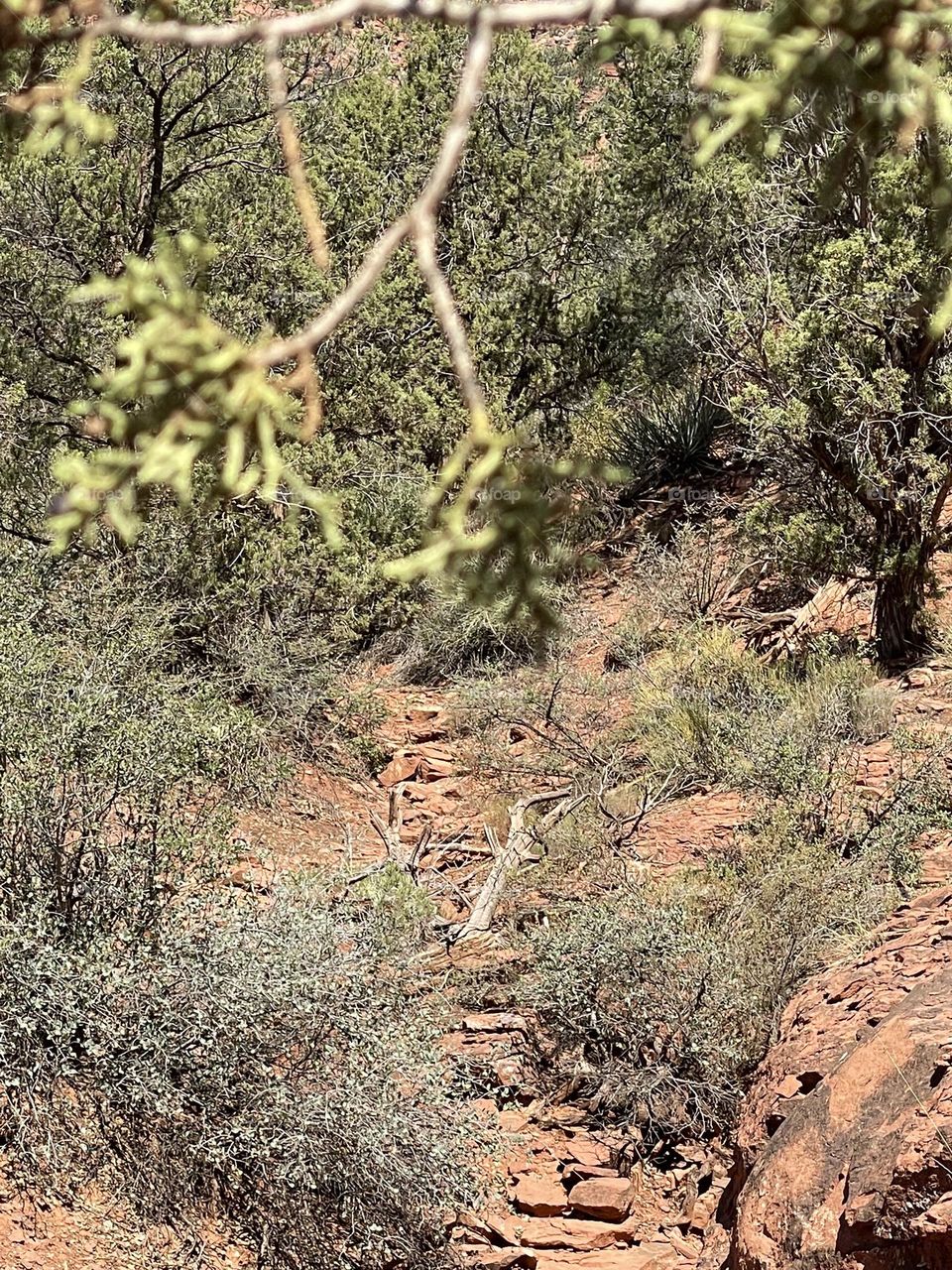 Grounding and lovely feeling 