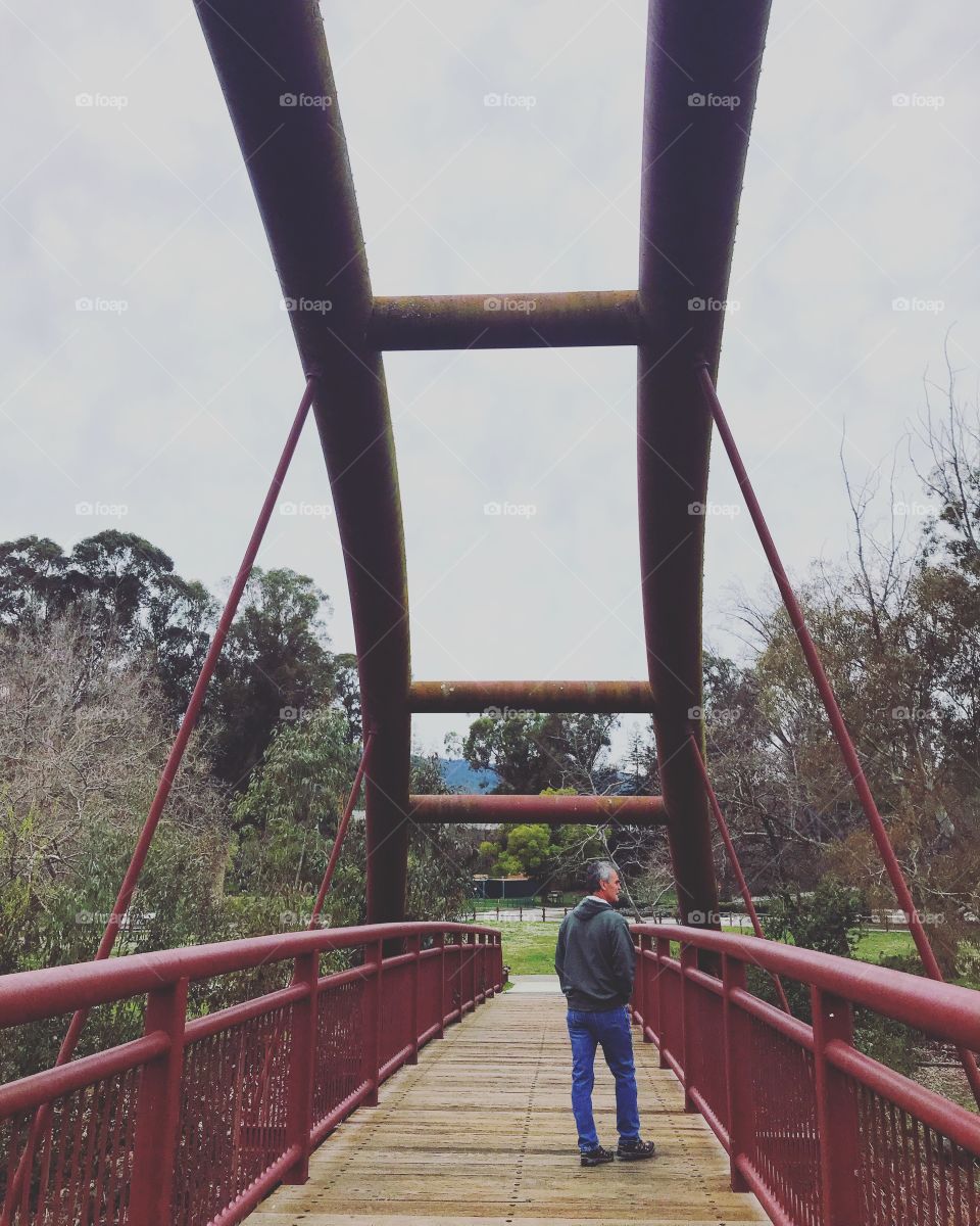 Bridges 