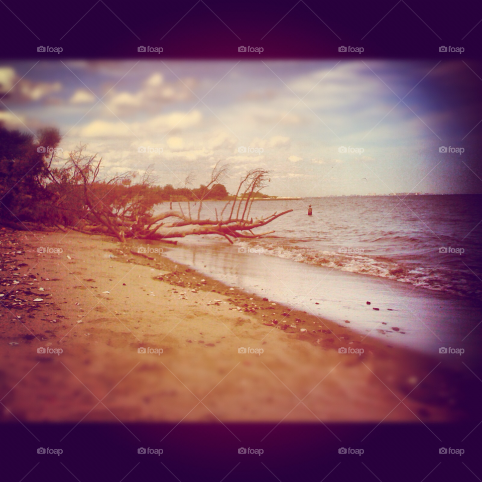 thinking harbor shore safe by michaella