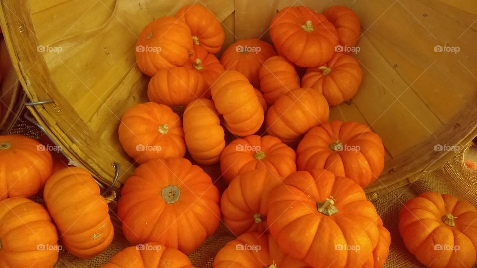 small pumpkins