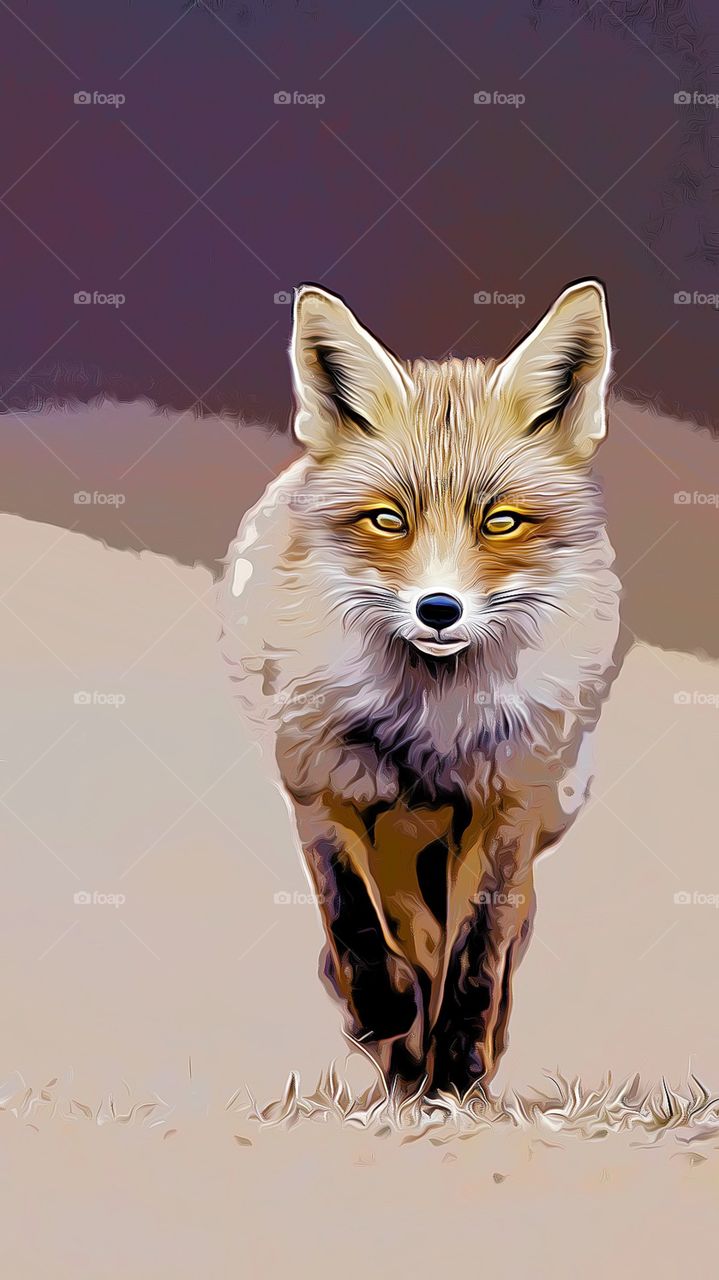 Fox