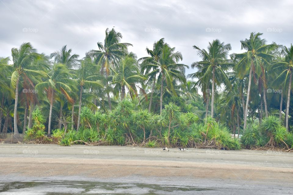 Wonderful tourist spot with a green atmosphere ! ❤️