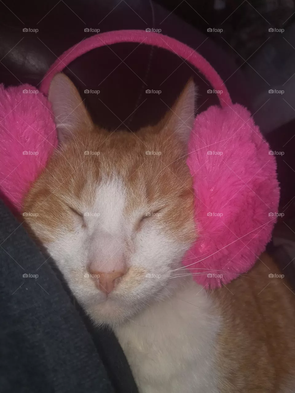 Tom is not enthused when I'm being funny on his account.he might need these when he goes outside.