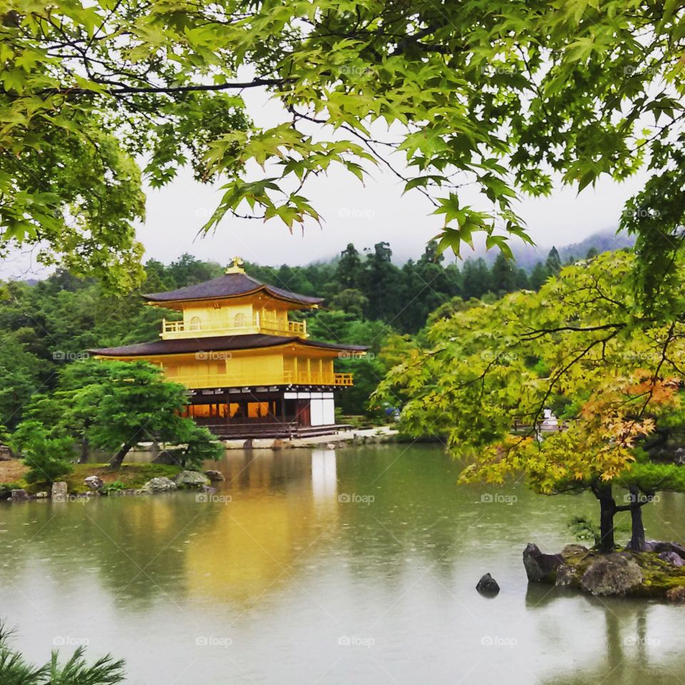 Kinkaku-ji - the gold temple