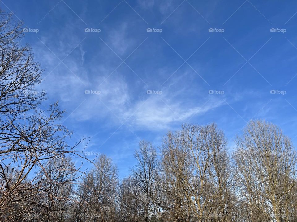 Wispy clouds in the sky