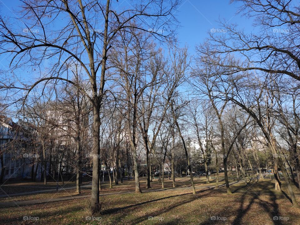 Belgrade Serbia Cukarica Banovo Brdo park winter scenery