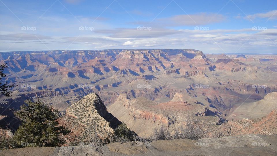 grand canyon. spring time at Mathis point
