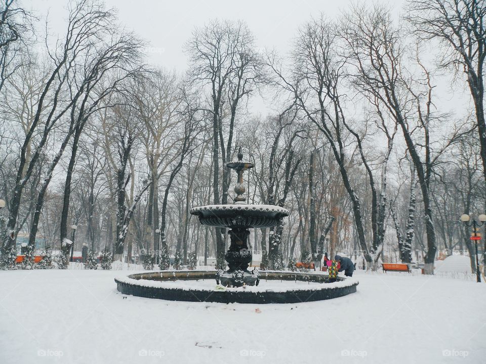 Fountain in Winter Park, Kiev