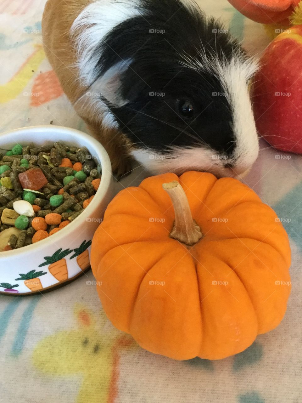 Jonathan  checking   out  the pumpkin 