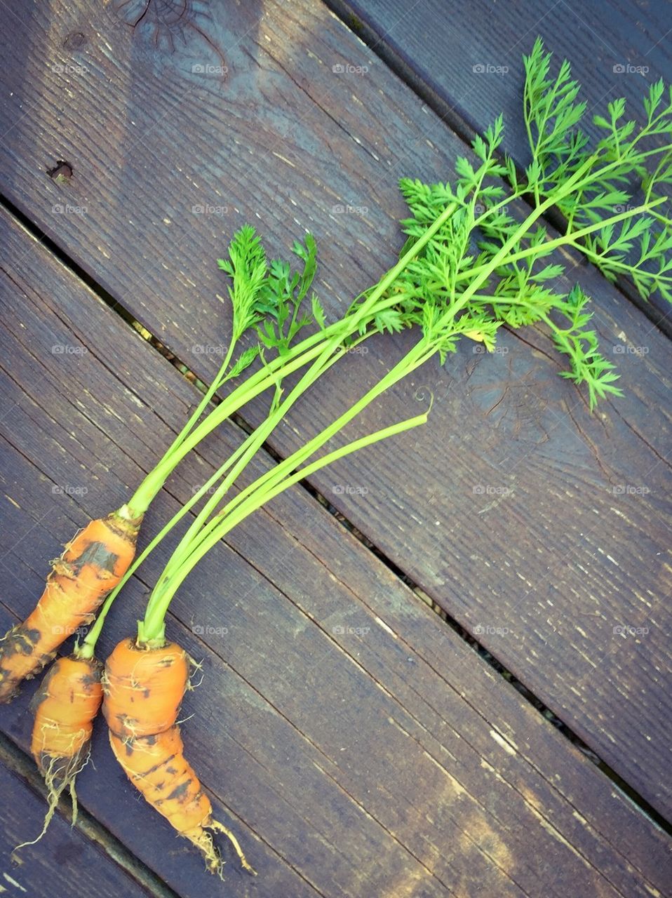 Carrots